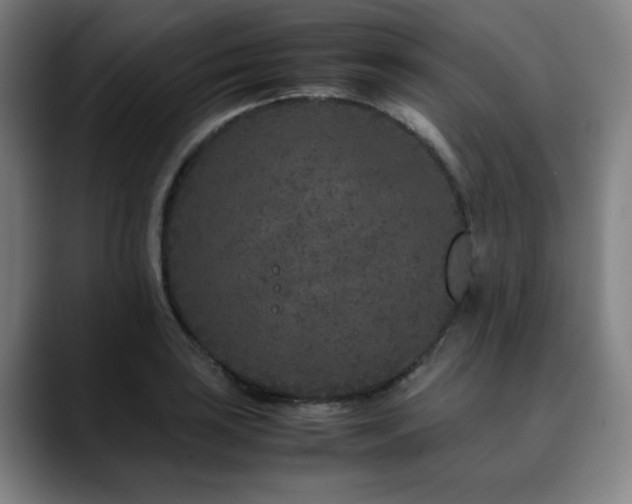 X0000090471035200707131254