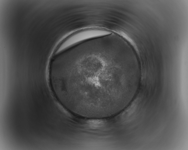 X0000090471037200707131254