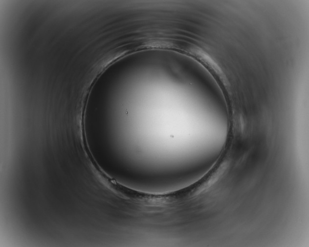 X0000090471041200707131254