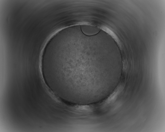 X0000090471043200707131254
