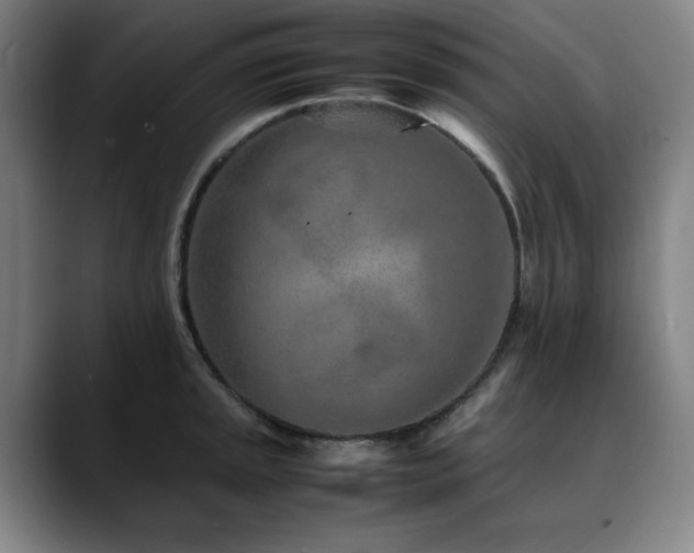 X0000090471045200707131254