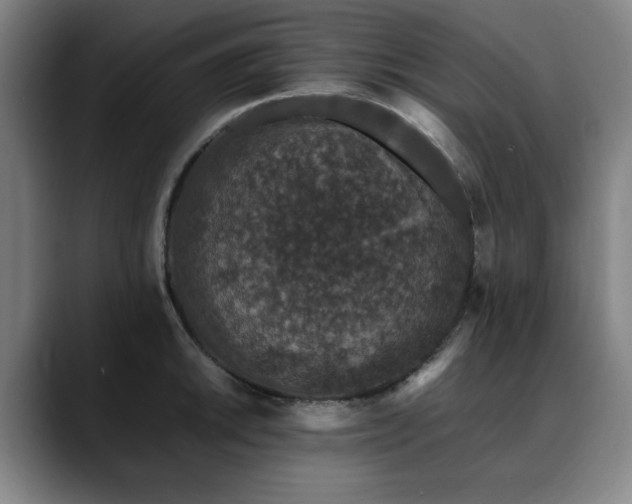 X0000090471046200707131254