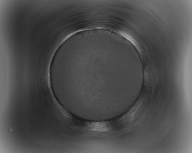 X0000090471047200707131254