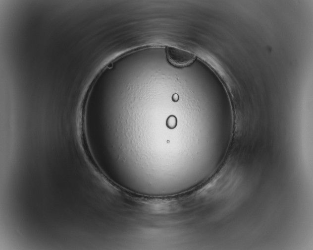 X0000090471048200707131254