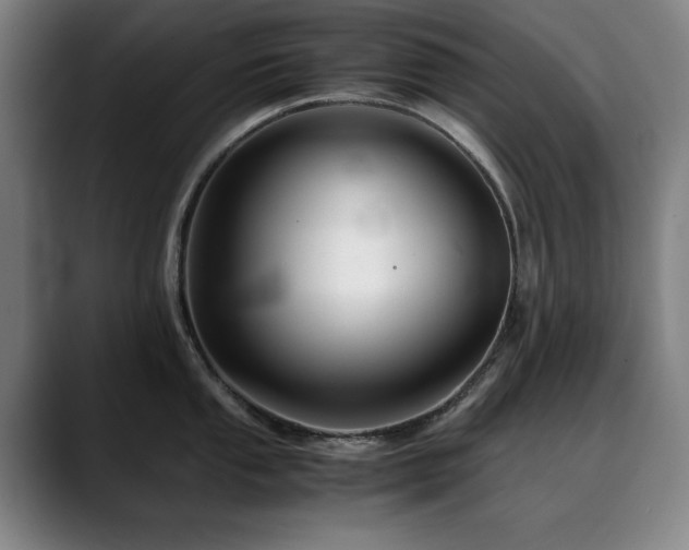 X0000090471053200707131254