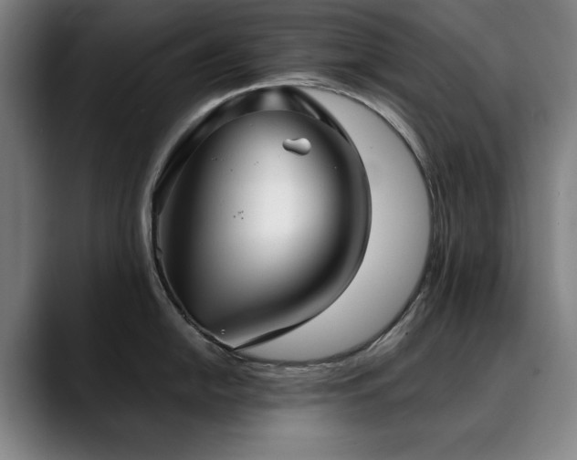 X0000090471054200707131254