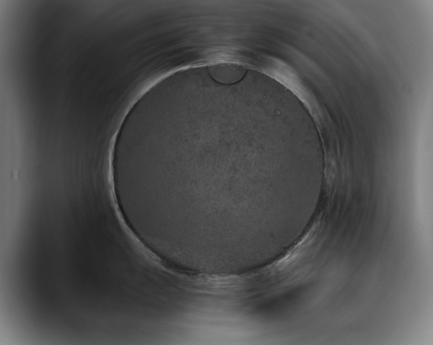 X0000090471055200707131254