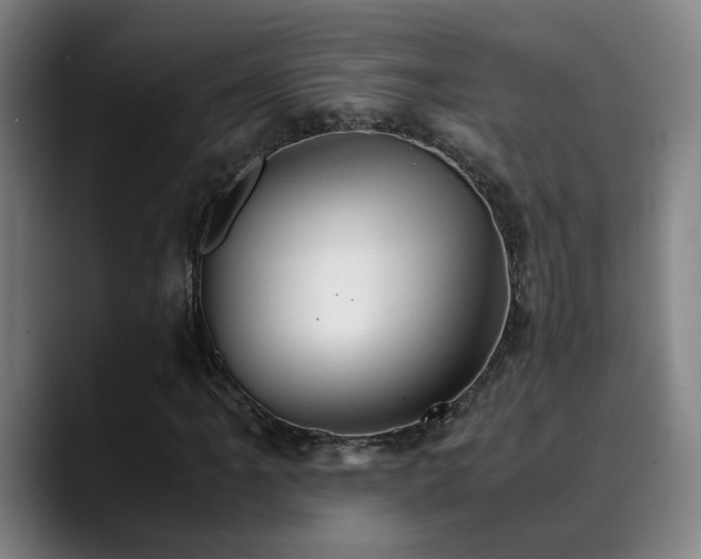 X0000090471061200707131254