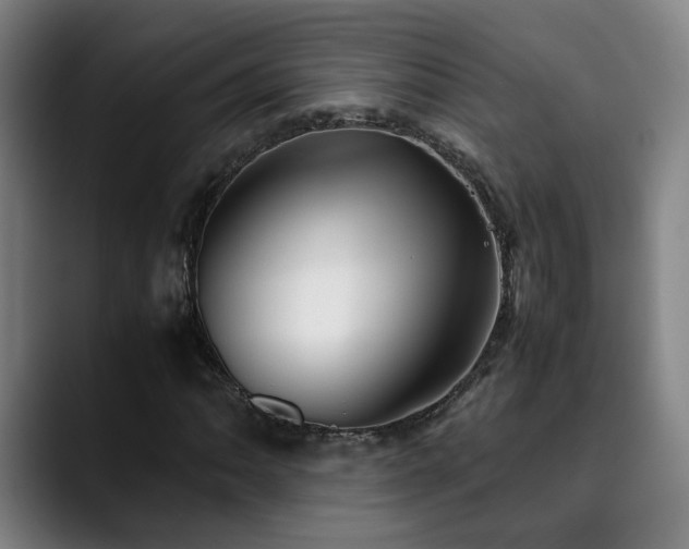 X0000090471062200707131254