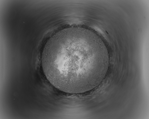 X0000090471063200707131254