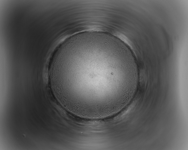 X0000090471067200707131253