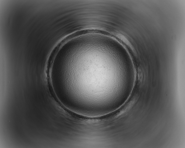 X0000090471068200707131253