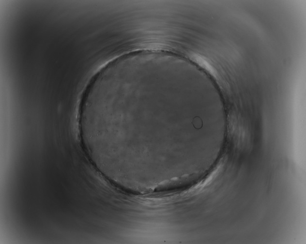 X0000090471071200707131253