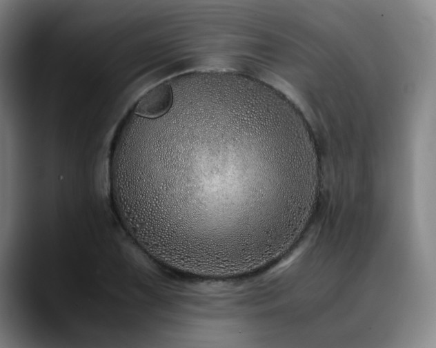 X0000090471075200707131253