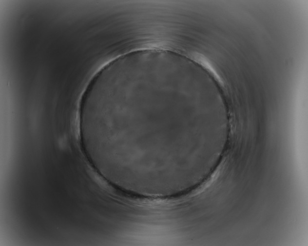 X0000090471079200707131253