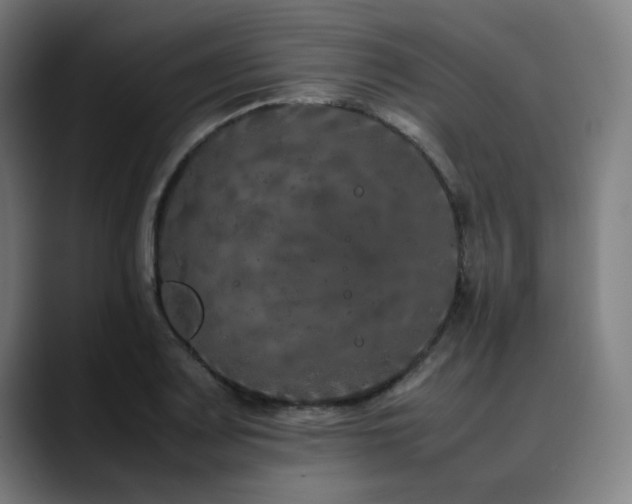 X0000090471083200707131253