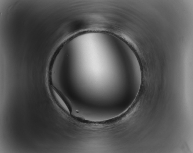 X0000090471085200707131253