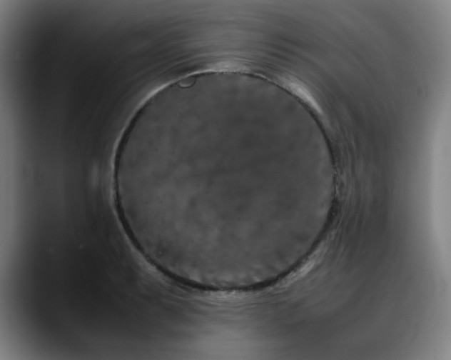X0000090471087200707131253