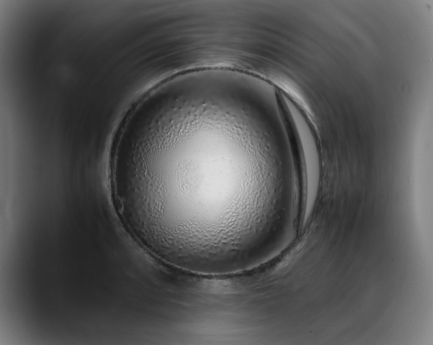 X0000090471088200707131253