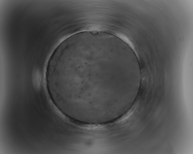 X0000090471091200707131253
