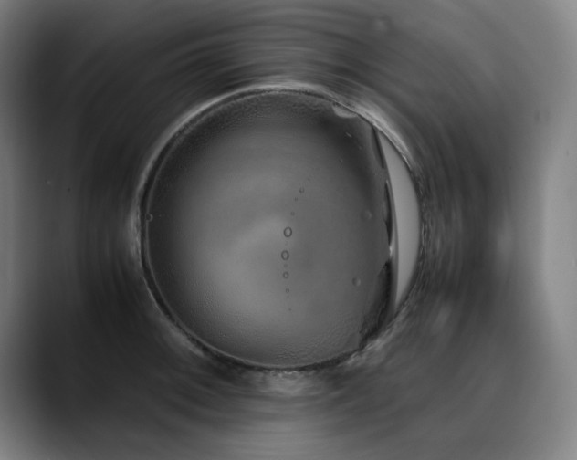 X0000090471092200707131253