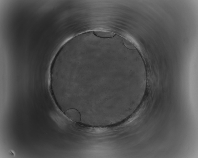 X0000090471095200707131253