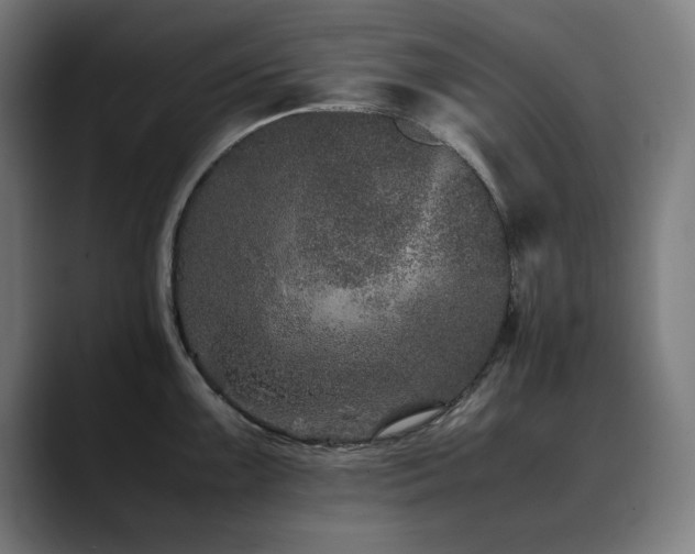 X0000090471099200707131253