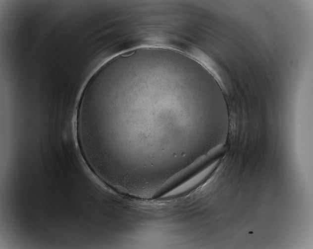 X0000090471100200707131253