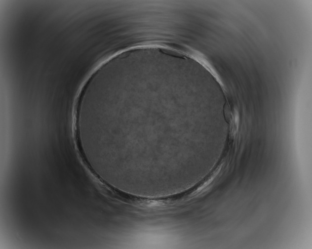 X0000090471101200707131253