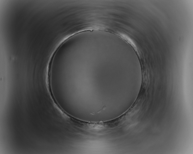 X0000090471103200707131253