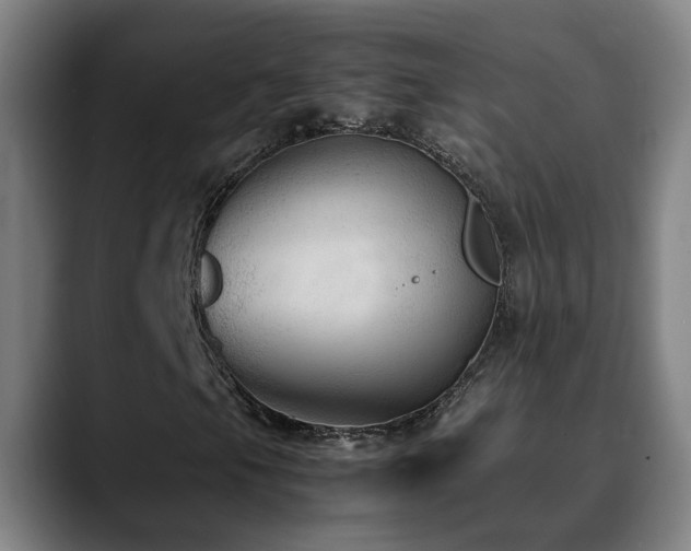 X0000090471105200707131252
