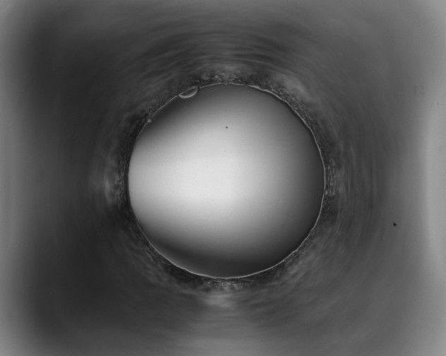 X0000090471109200707131253