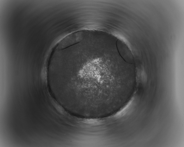 X0000090471114200707131253