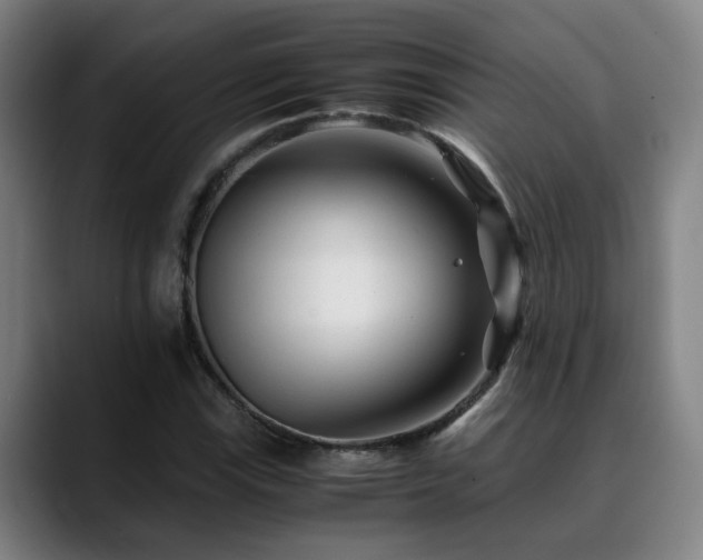 X0000090471115200707131253