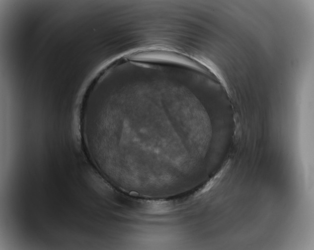 X0000090471120200707131253