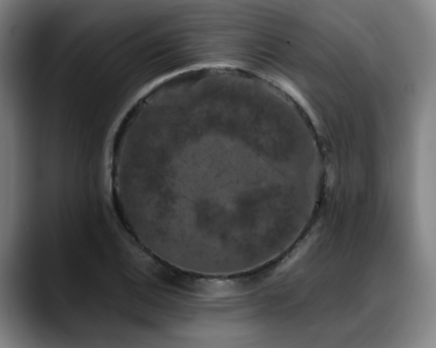 X0000090471124200707131253