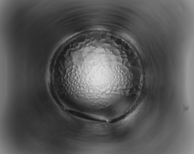 X0000090471125200707131253