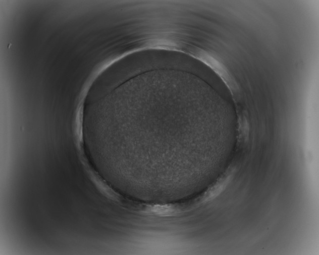 X0000090471128200707131253