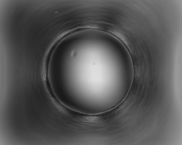 X0000090471131200707131253