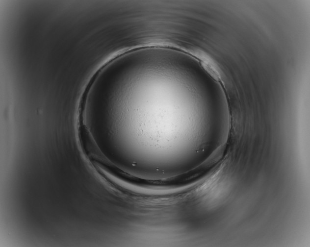 X0000090471142200707131253