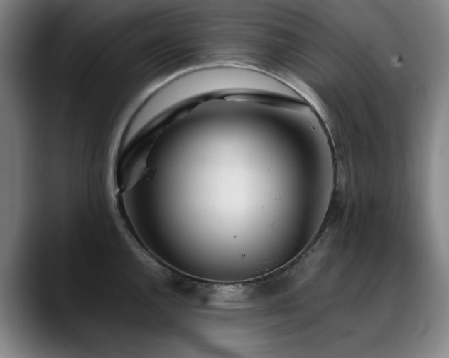 X0000090471144200707131253