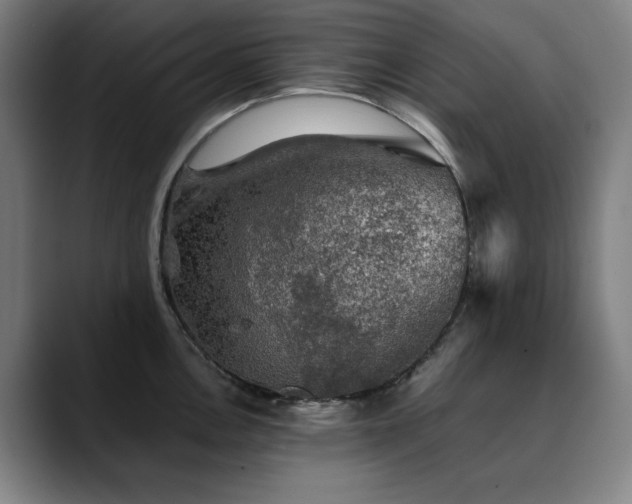 X0000090471146200707131253