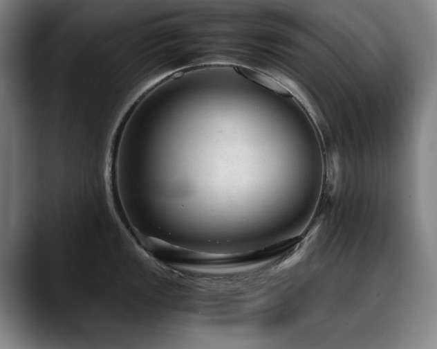 X0000090471149200707131253