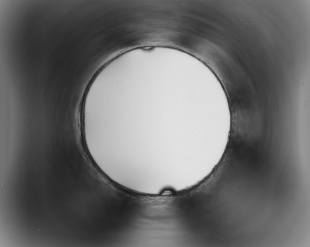 X0000090471150200707131253