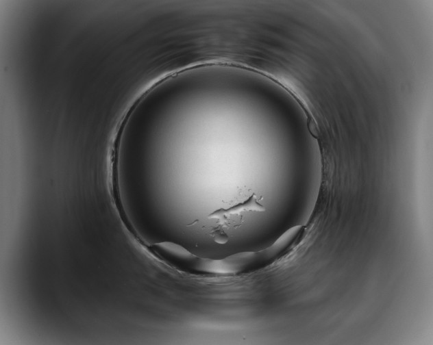 X0000090471151200707131253