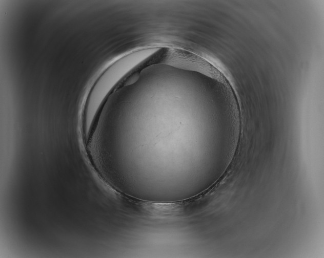 X0000090471152200707131253
