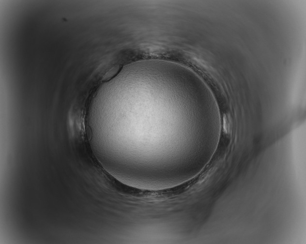 X0000090471155200707131252