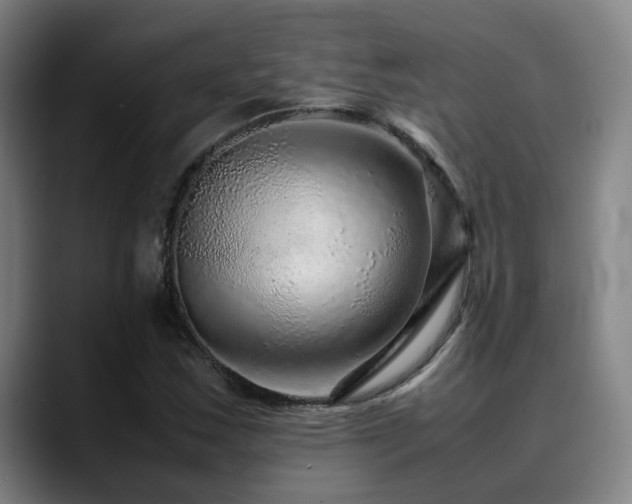 X0000090471163200707131252