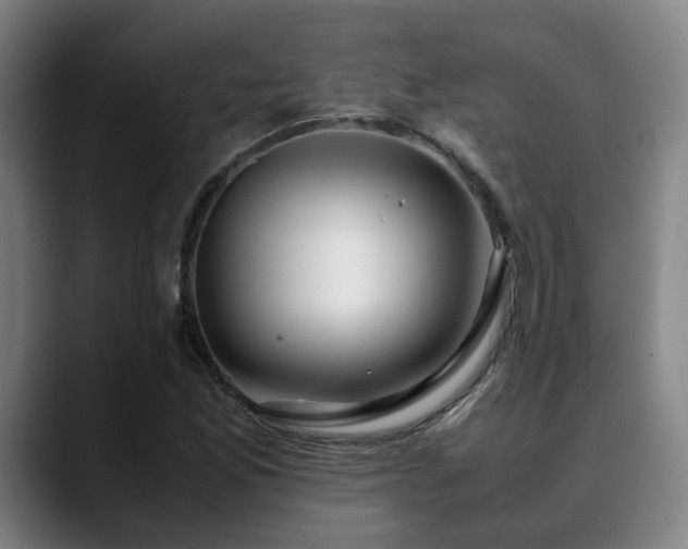 X0000090471165200707131252