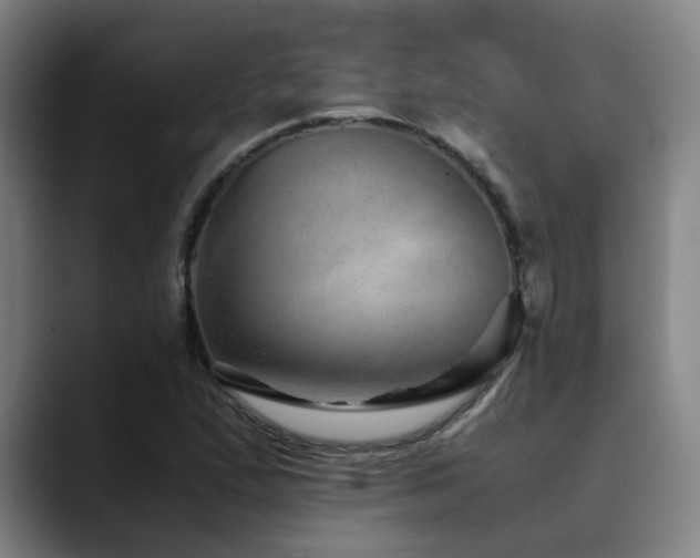 X0000090471167200707131252